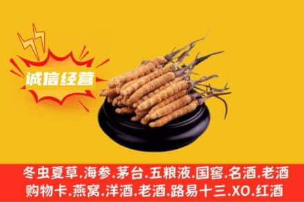 林芝回收冬虫夏草